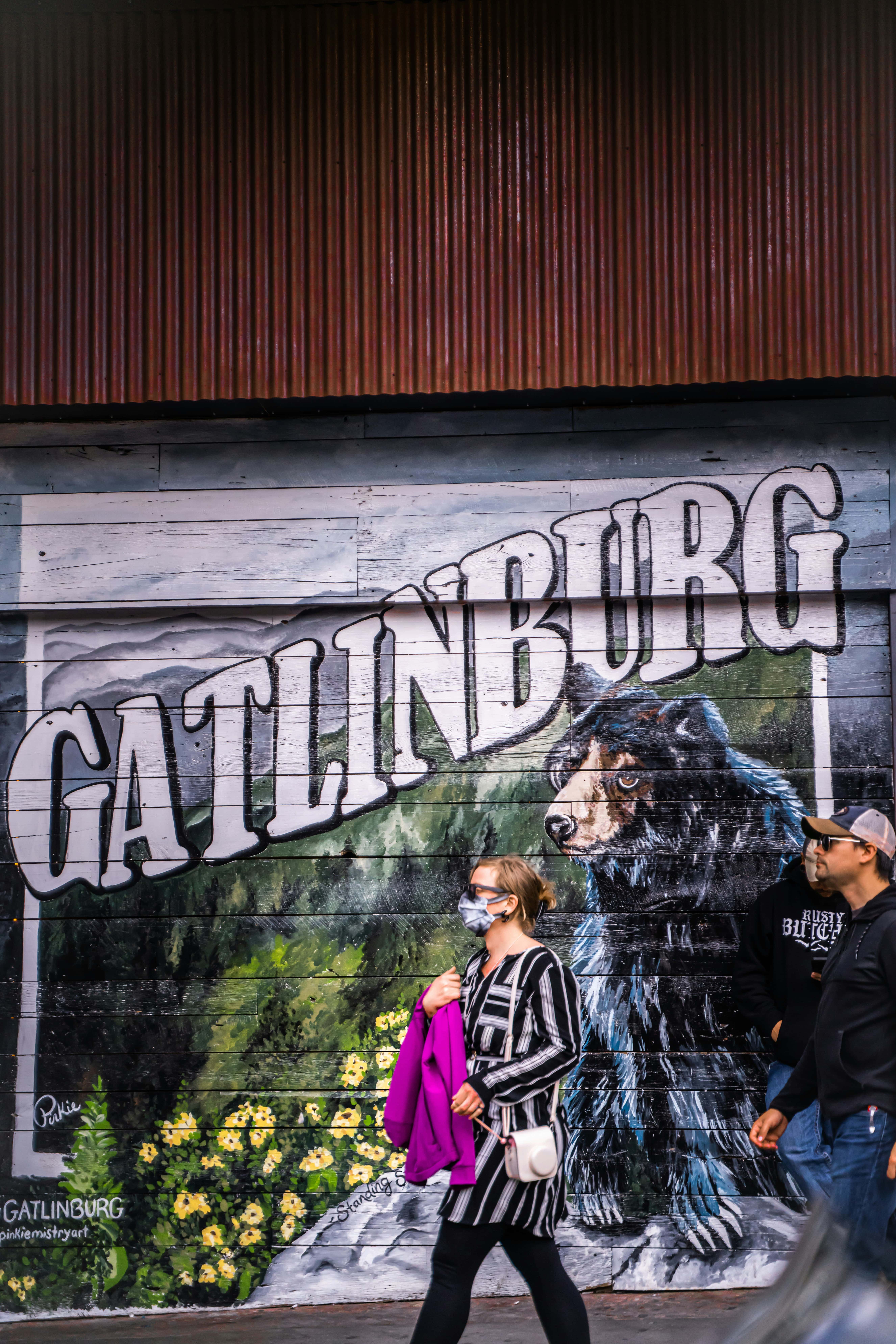 Gatlinburg Lettering for Blog Post Cover