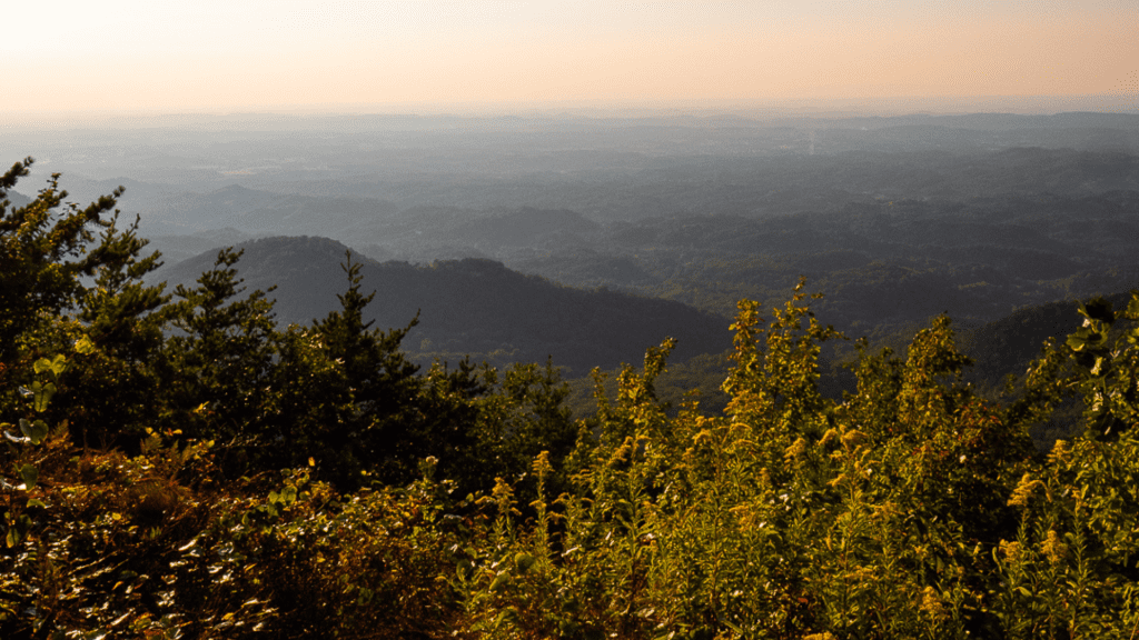 Scenic overlook of Smoky Mountains with lush greenery and rolling hills near Townsend.