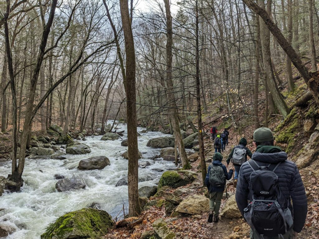 A group of hikers walk along a narrow, rocky trail beside a rushing river in a forest of tall, leafless trees on a cloudy day. Moss covers some rocks as they explore hikes near Gatlinburg and discover Smoky Mountain waterfalls.