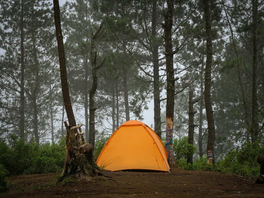 An orange tent is set up on a forest floor surrounded by tall trees and greenery, with mist in the background, capturing the tranquil atmosphere found at campgrounds near Gatlinburg.