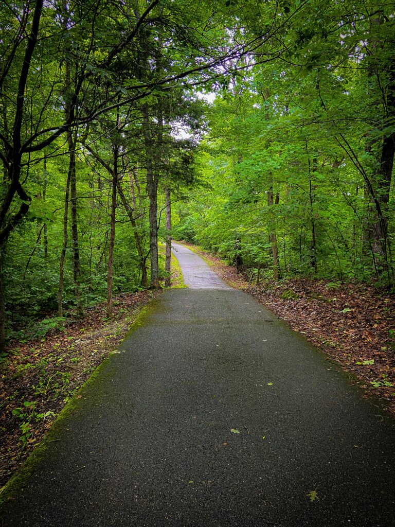 A paved path winds through a lush, green forest in Gatlinburg, offering some of the best scenic views under a canopy of leaves. The peaceful setting is especially inviting for a walk or bike ride, particularly in the vibrant colors of fall.