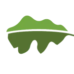 Visit My Smokies